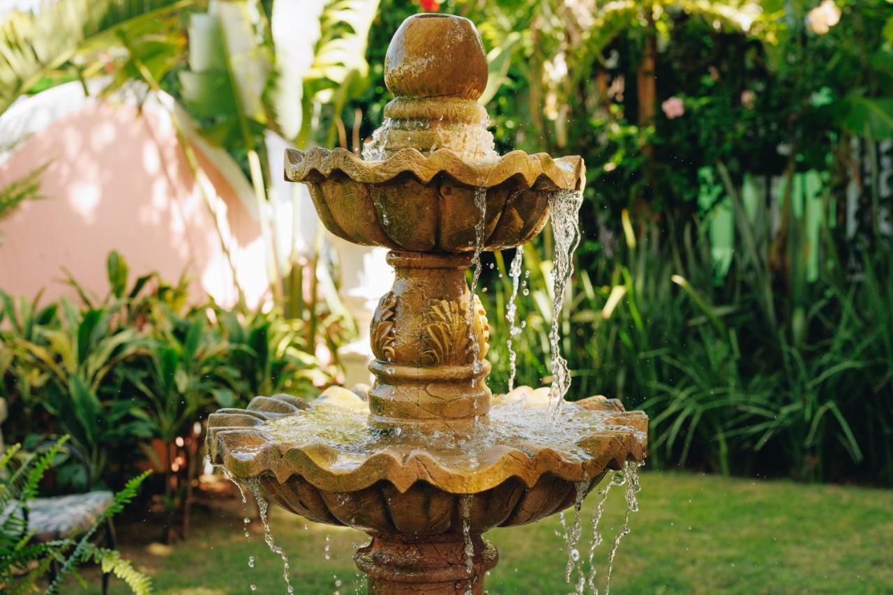 Hotel Boutique Quinta Das Videiras Florianópolis Eksteriør billede