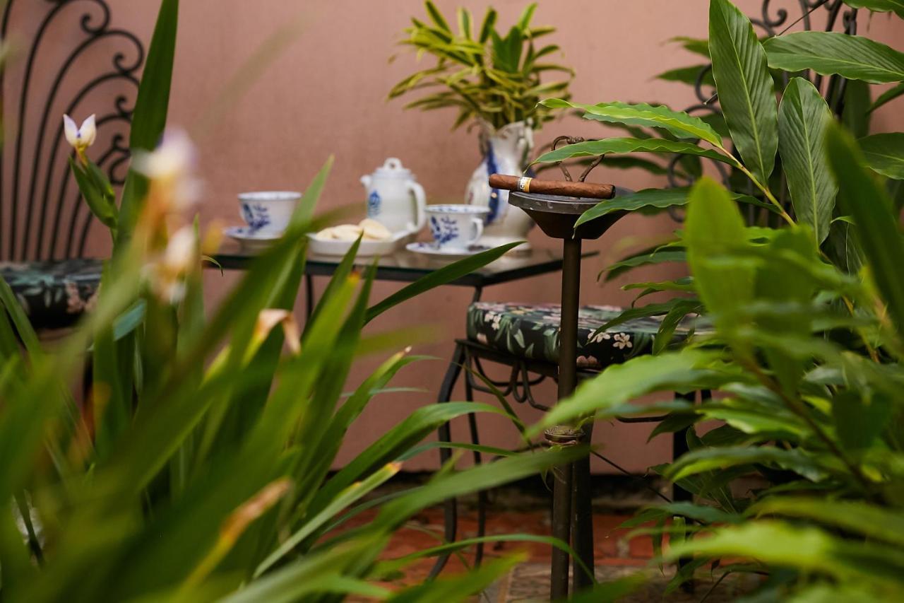 Hotel Boutique Quinta Das Videiras Florianópolis Eksteriør billede