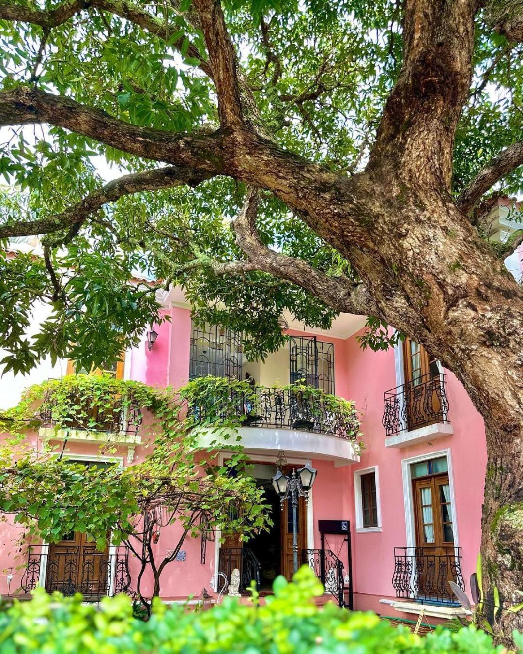 Hotel Boutique Quinta Das Videiras Florianópolis Eksteriør billede